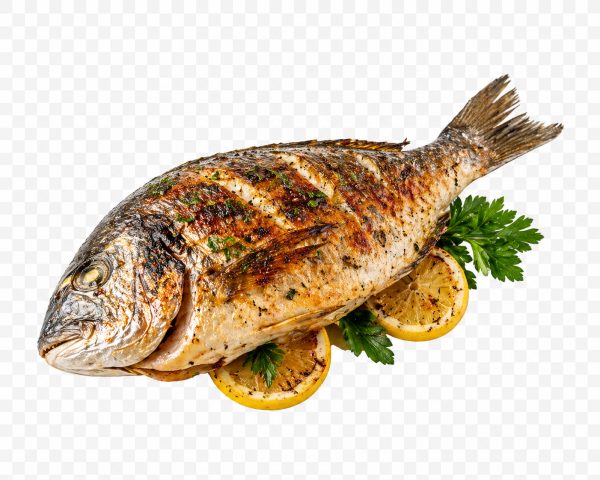 Fisch